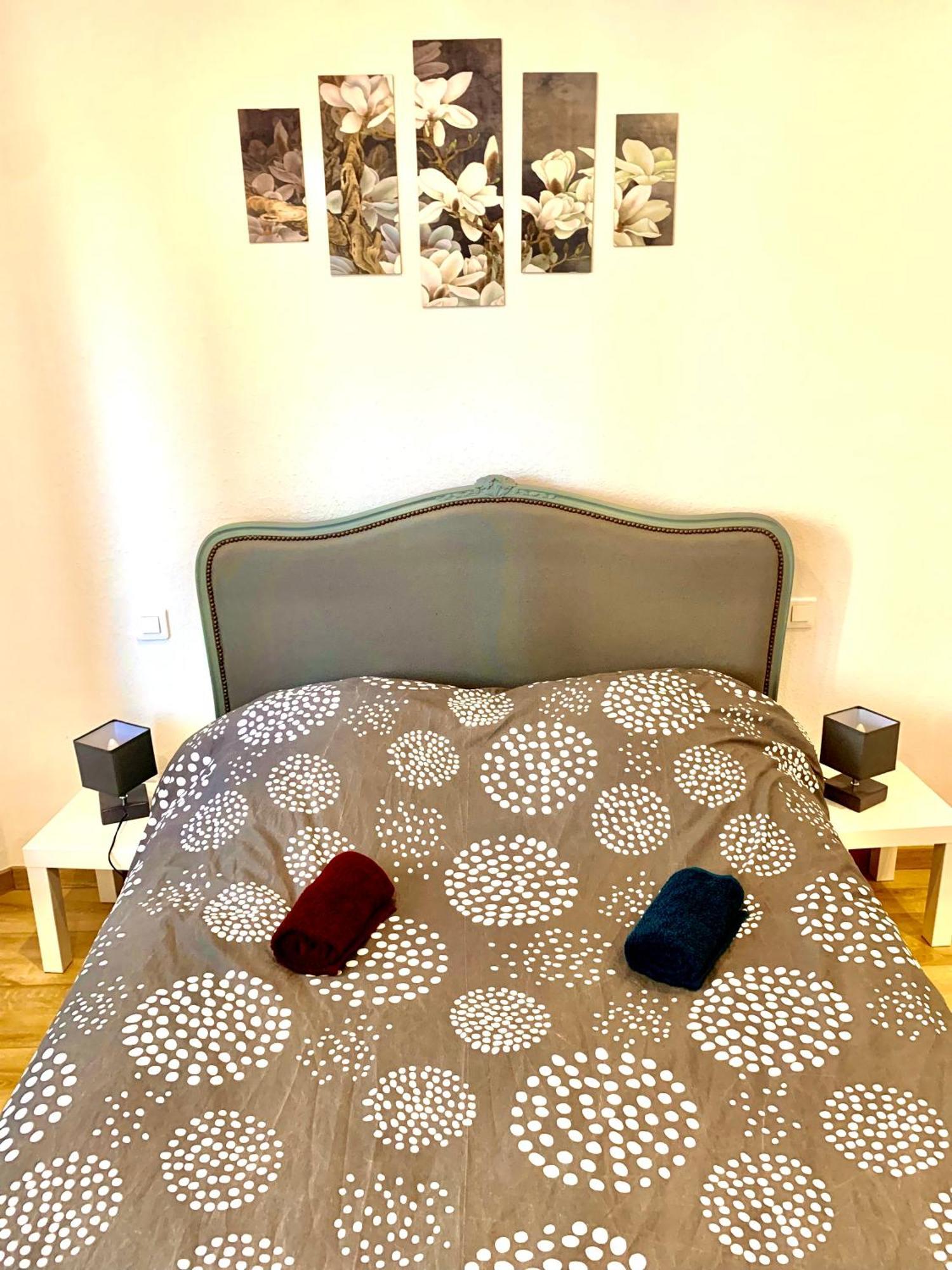 L Indemodable Renove Spacieux Et Lumineux Avec 2 Chambres Sarrebourg Extérieur photo