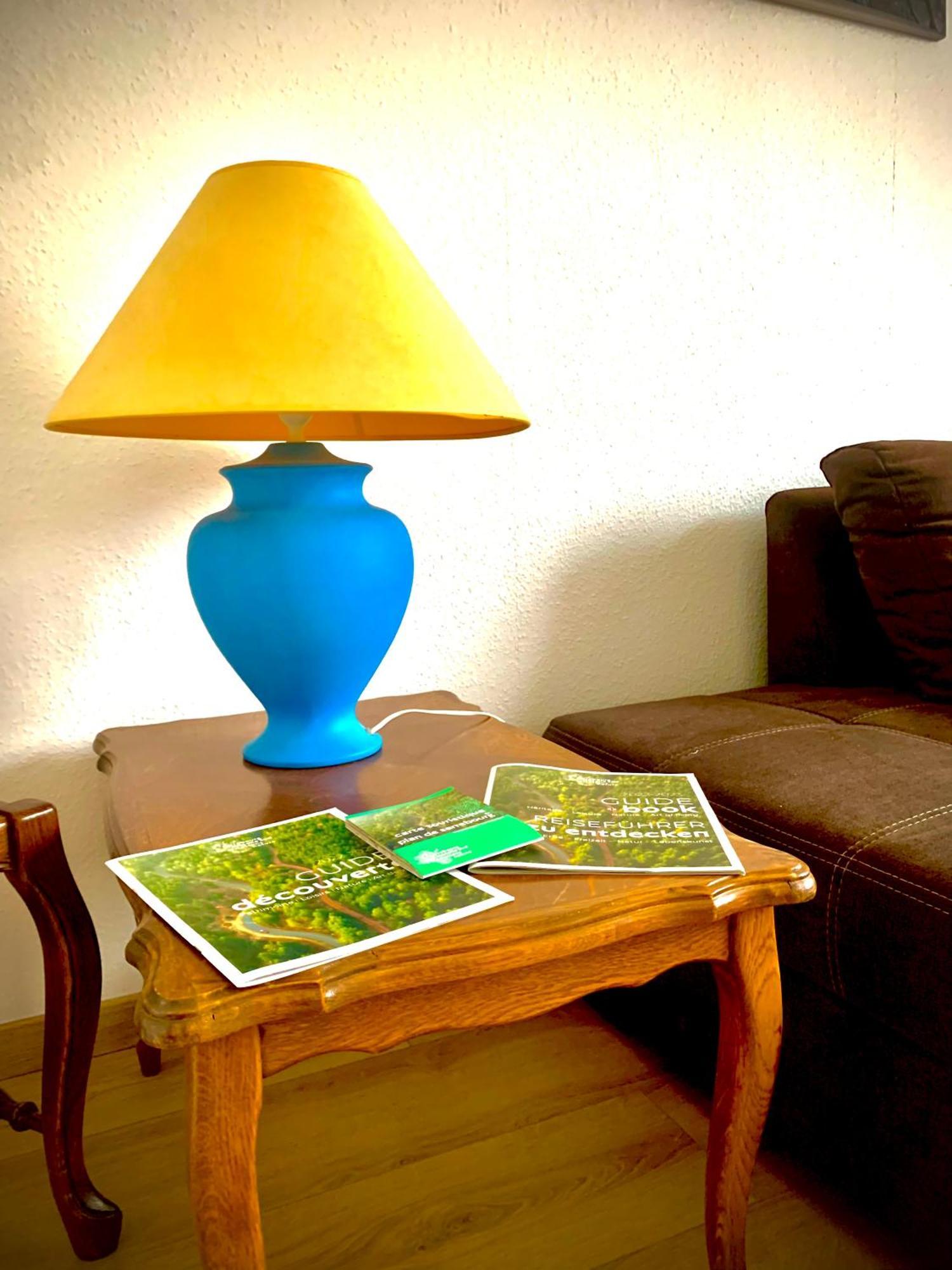 L Indemodable Renove Spacieux Et Lumineux Avec 2 Chambres Sarrebourg Extérieur photo